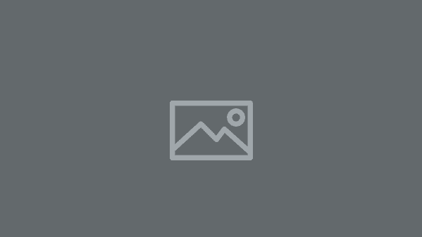 default placeholder